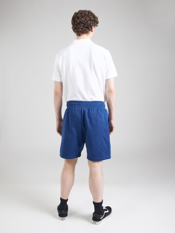 regular Pantaloni di THE NORTH FACE in blu