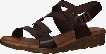 COSMOS COMFORT Strap Sandals in Brown: front