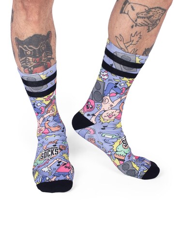 American Socks Socken 'Pogo'‌‌‌‌‌‌ in Lila