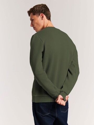 PROTEST Sweater 'PRTVito' in Green