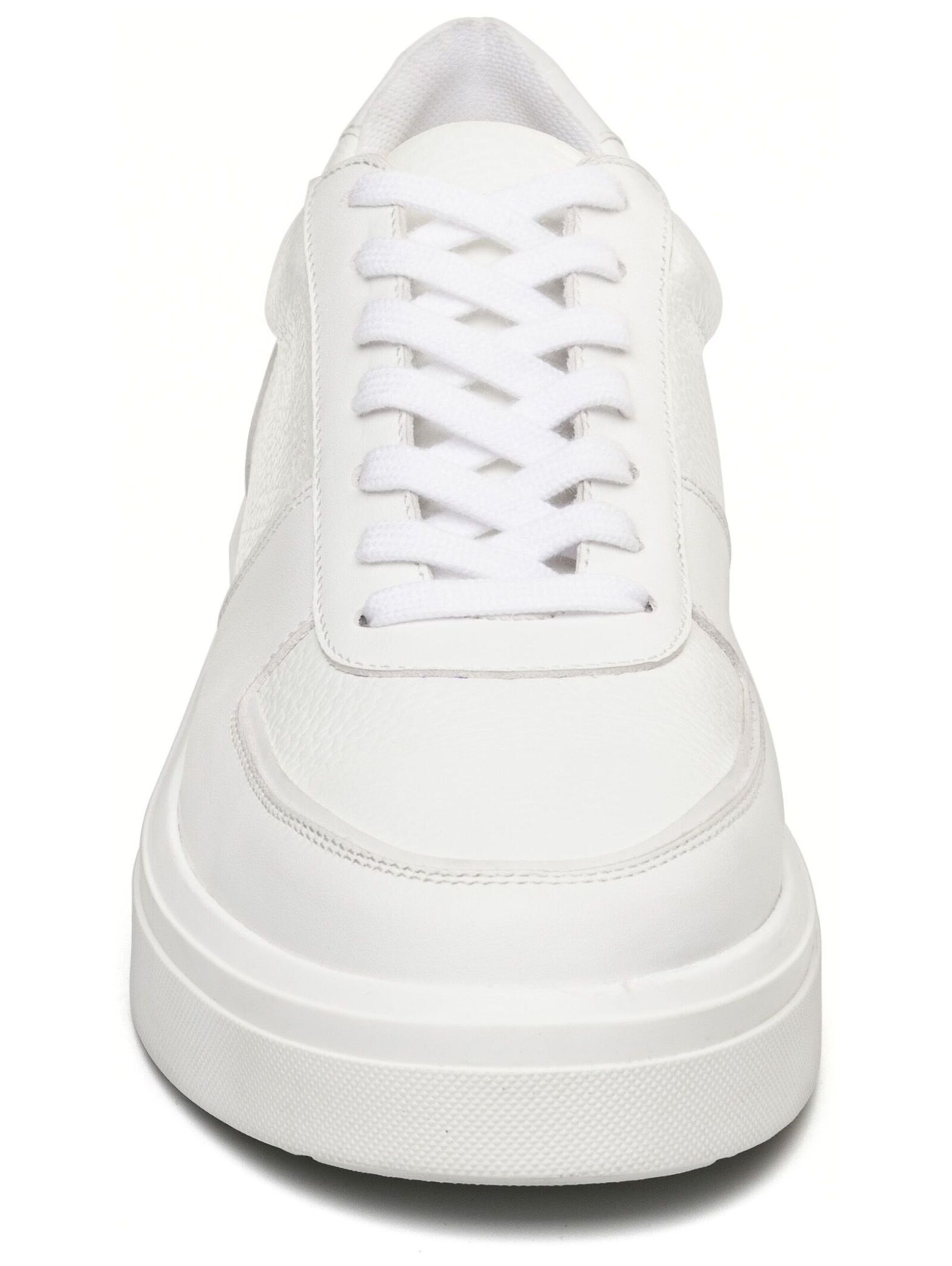 Baskets basses STEVE MADDEN en blanc