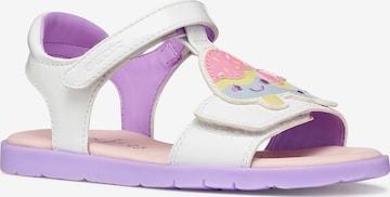 GEOX Sandale in Weiß: Vorderseite