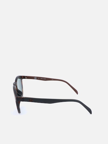 Adidas Sport - Gafas de sol 'AOR017/N Havana' en marrón