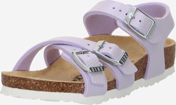 BIRKENSTOCK - Sandália 'Kumba' em roxo: frente