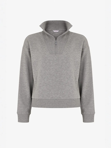 Penti - Sweatshirt 'Sweatshirts' em cinzento