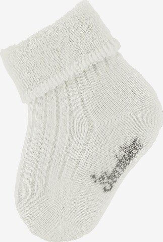 STERNTALER Socks in Beige: front