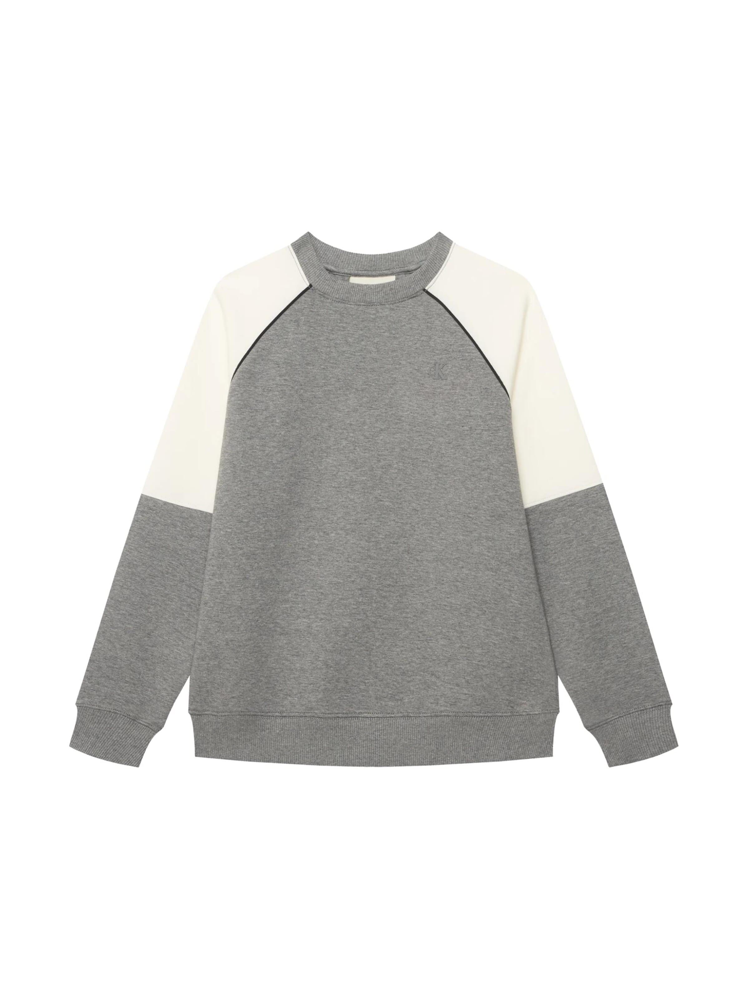 Calvin Klein Kids Sweatshirt 'CALVIN KLEIN  JEANS kids COLORBLOCK RELAXED CN FELPA' in Grey: front