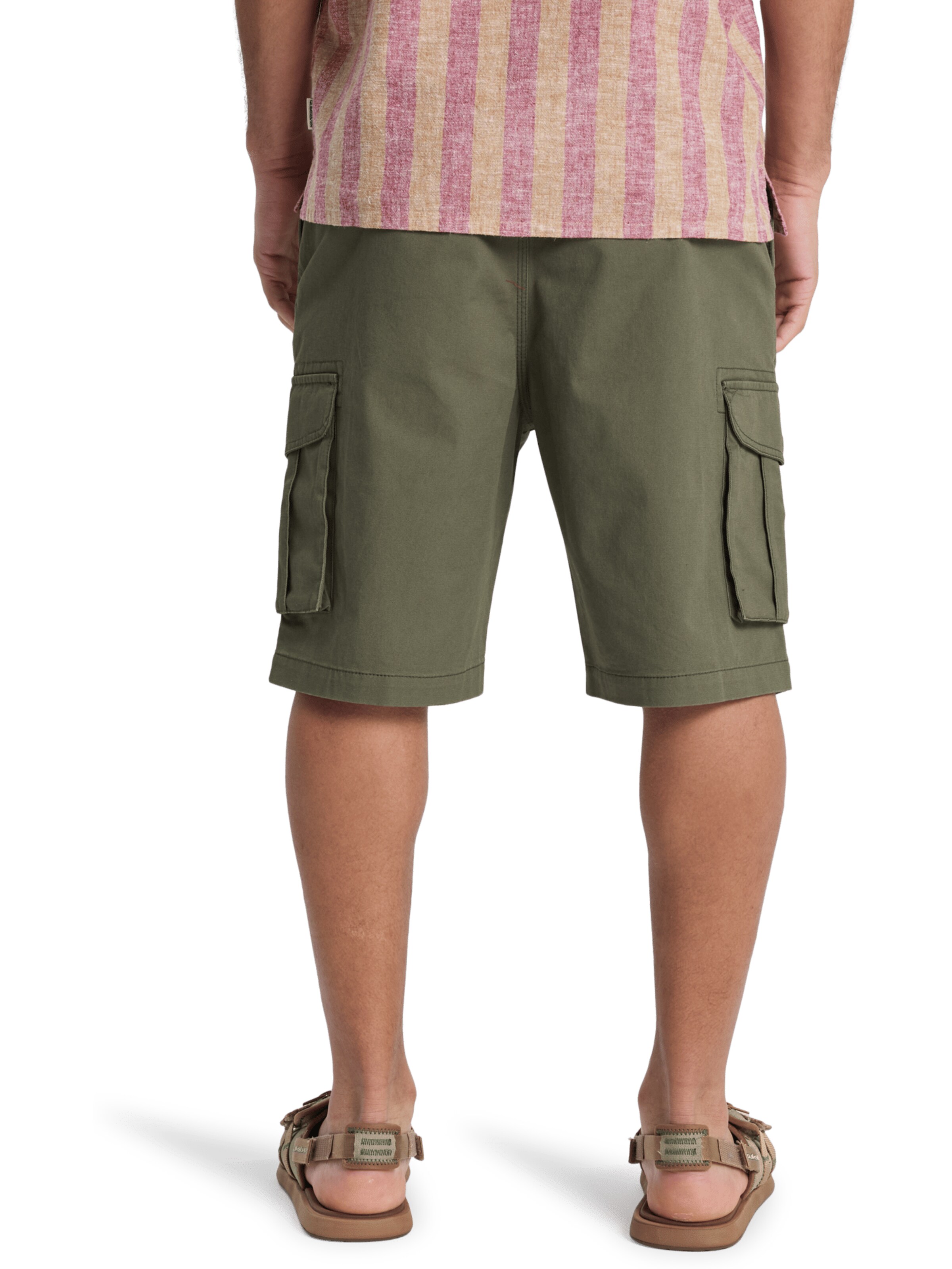 QUIKSILVER Regular Cargo Pants in Green