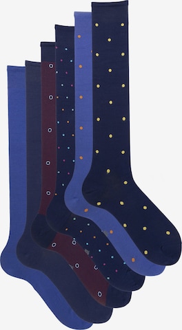 Ciocca Knee High Socks in Mixed colors: front