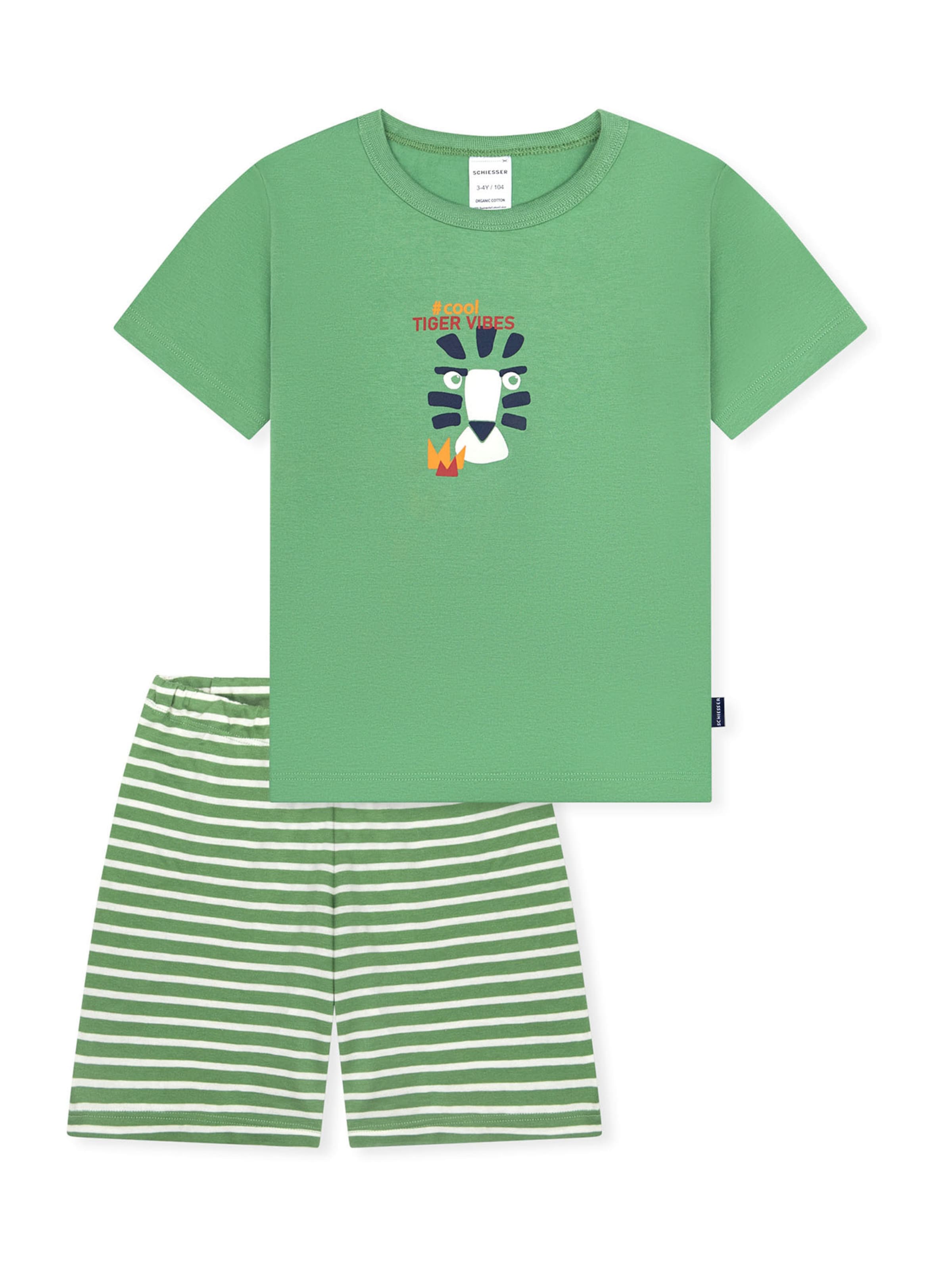 SCHIESSER Nachtkledij ' Kids Nightwear ' in Groen: voorkant