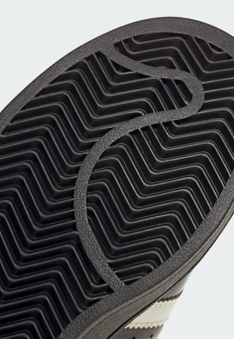 ADIDAS ORIGINALS Sneaker 'Superstar II' in Braun