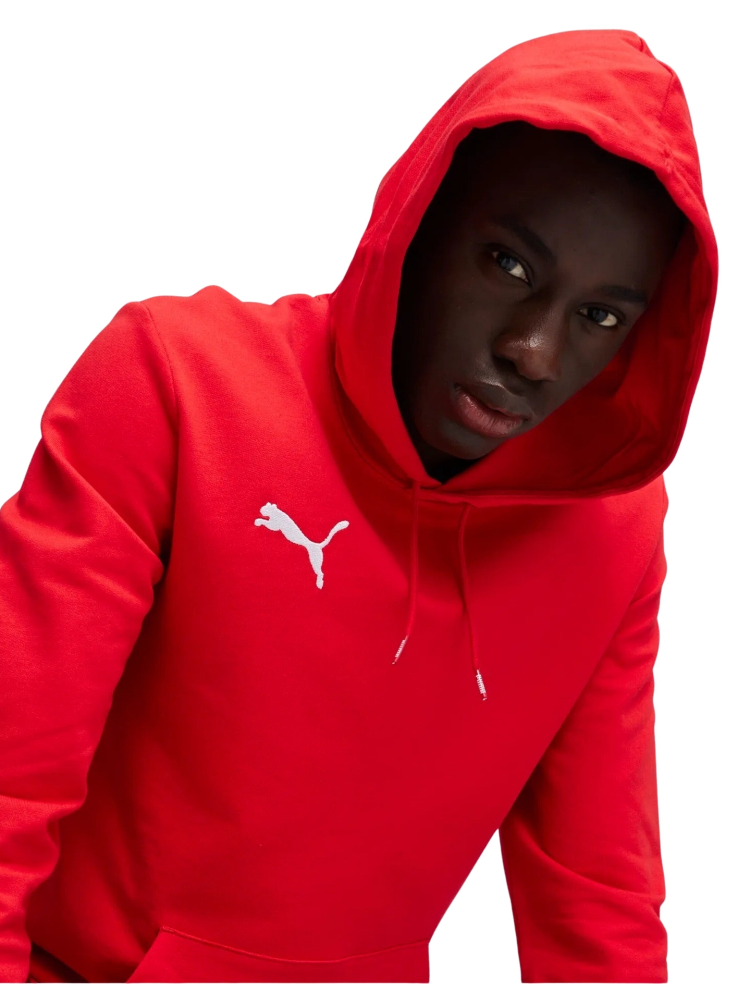 PUMA Sportsweatshirt 'Team Goal' i rød
