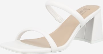 CALL IT SPRING Pistokkaat 'KAIAA' värissä valkoinen: etupuoli