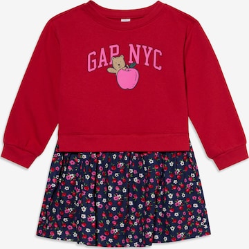 GAP Kleid in Rot: Vorderseite