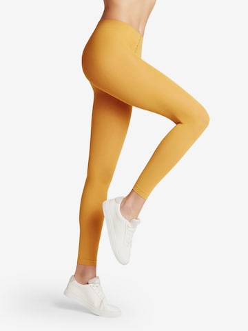 FALKE Fijne panty 'Pure Matt' in Geel: voorkant