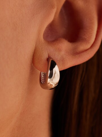 Lucardi Earrings 'Statement' in Silver