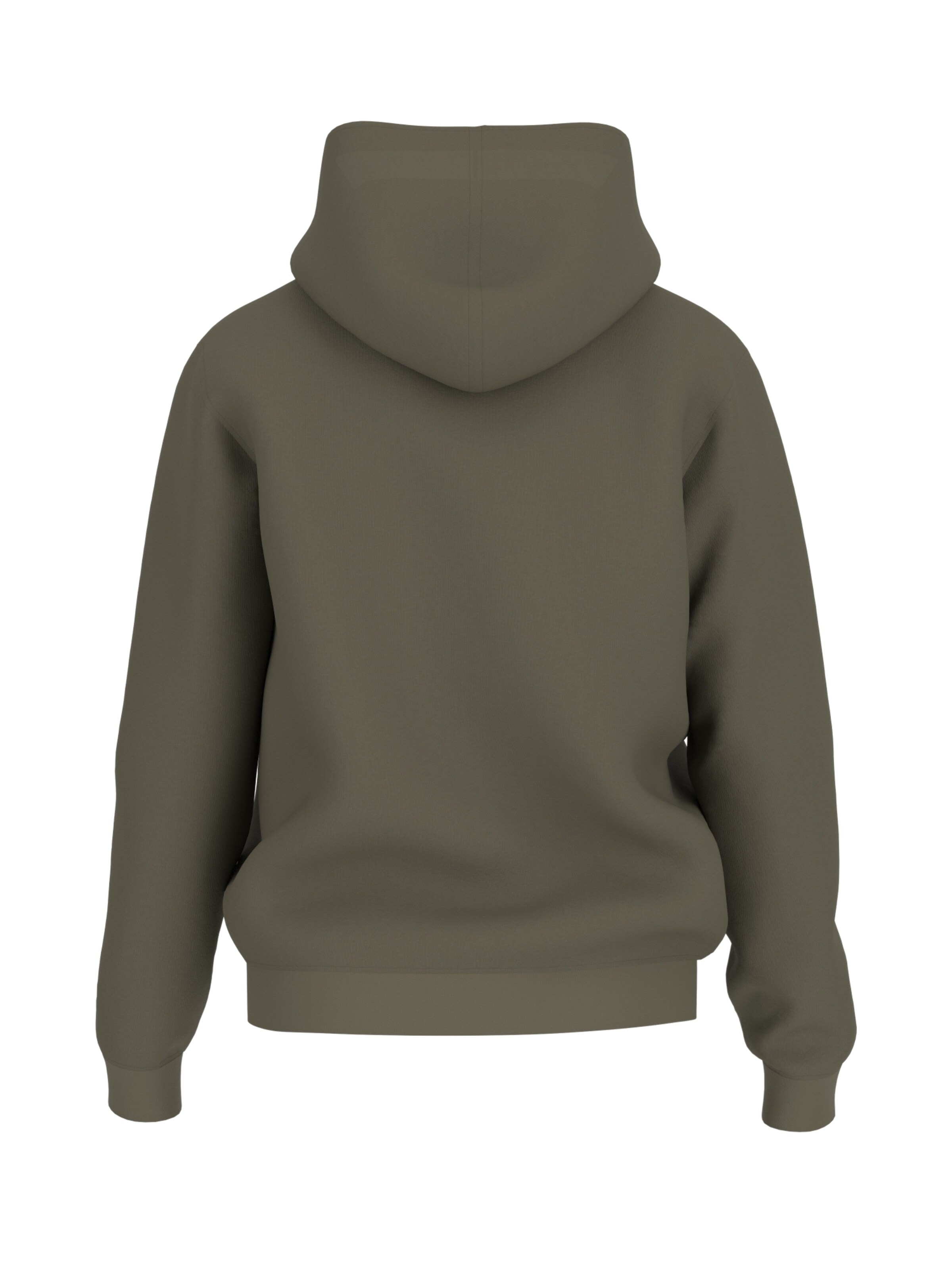 Sweat-shirt 'BEAU' GUESS en vert