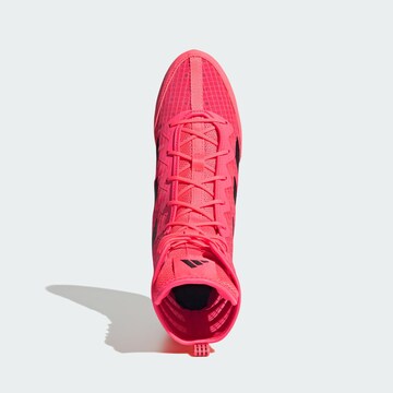 Scarpa sportiva 'Box Hog 4' di ADIDAS PERFORMANCE in rosa