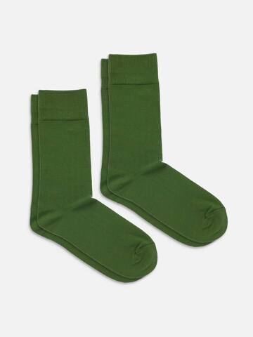 DillySocks Socken 'D-Compose 2er Set' in Grün
