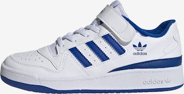 ADIDAS ORIGINALS - Zapatillas deportivas 'Forum Low' en blanco: frente