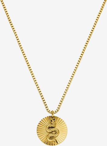 PURELEI Ketting 'Snake Coin' in Goud: voorkant