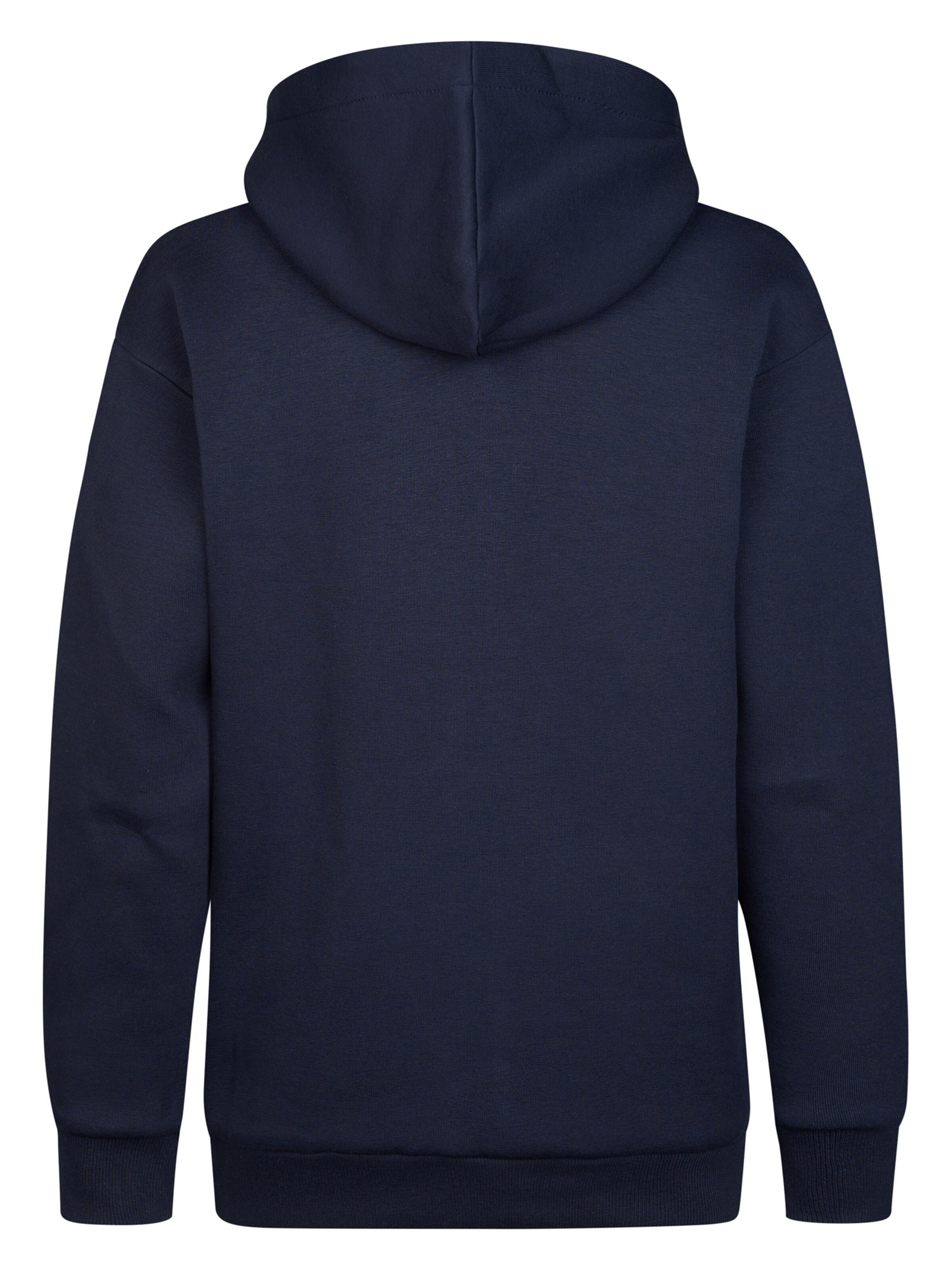 Petrol Industries Sweatshirt in Blauw