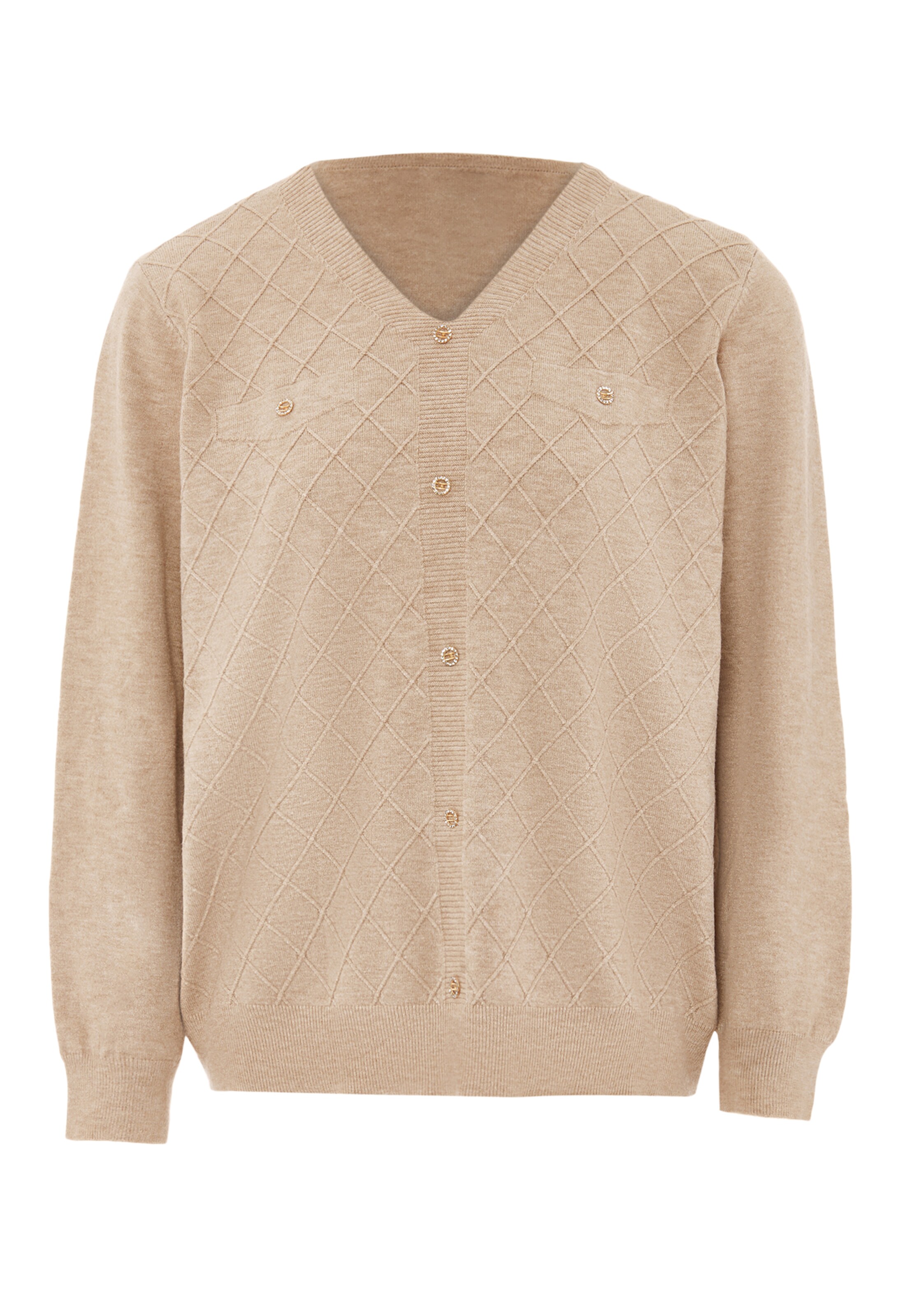 ALARY Pullover in Beige: Vorderseite