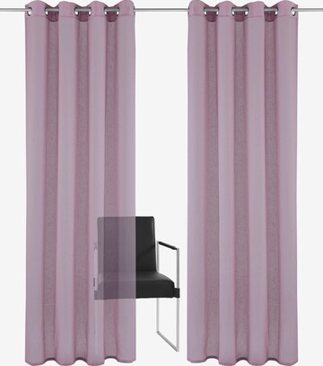 HOME AFFAIRE Curtains & Drapes in Purple: front