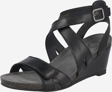 Ca'Shott Strap Sandals in Black: front