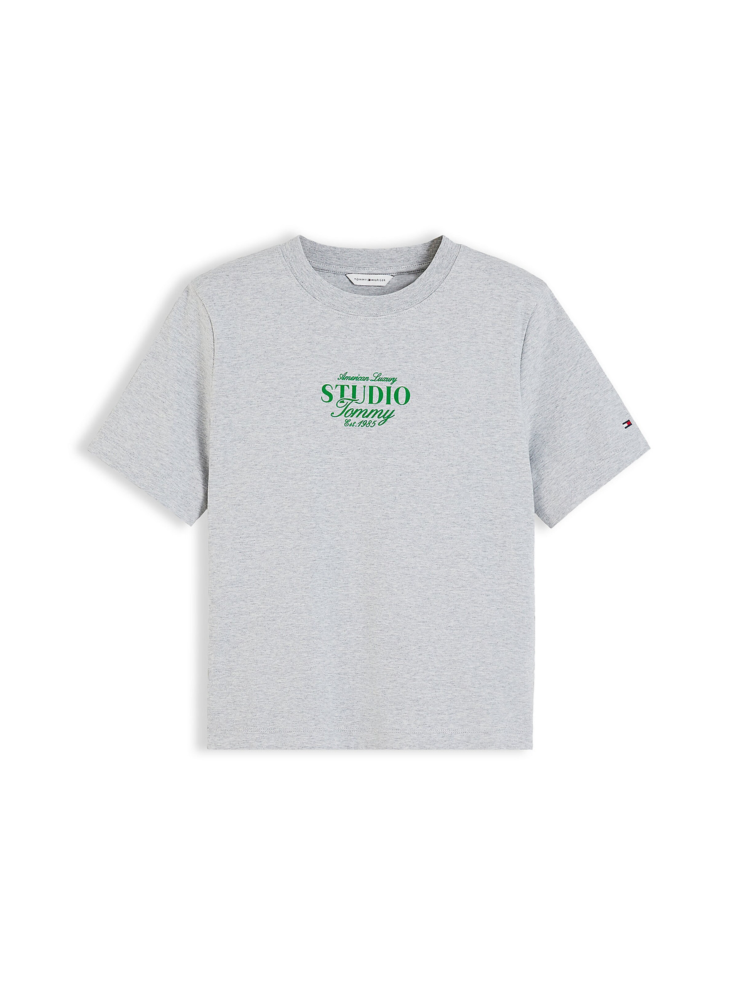 TOMMY HILFIGER T-Shirt in Grau: Vorderseite