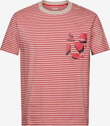 ESPRIT T-Shirt in Rot: predná strana