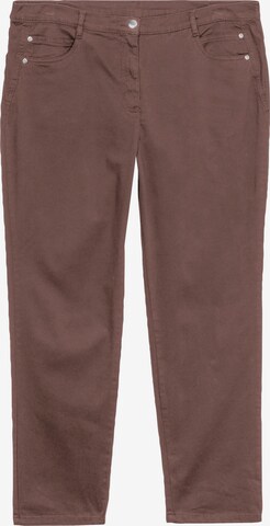 SHEEGO Regular Jeans in Brown: front
