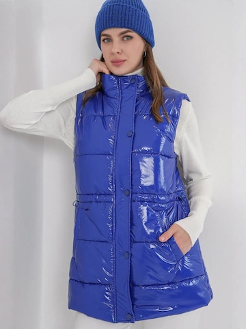 Gilet Bigdart en bleu : devant