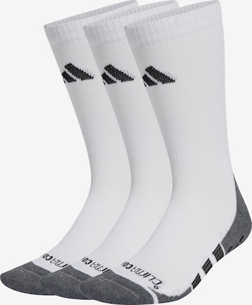 ADIDAS PERFORMANCE Sports socks 'Performance Grip CLIMACOOL Cushioned Crew 3 Pairs' in White: front