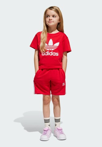 ADIDAS ORIGINALS Komplet 'Adicolor' | rdeča barva