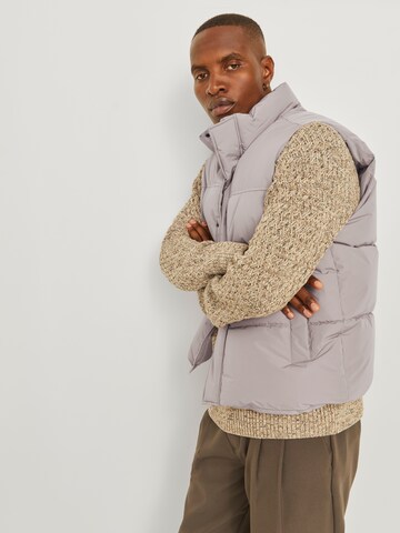JACK & JONES Brezrokavnik 'JJEBradley' | bež barva