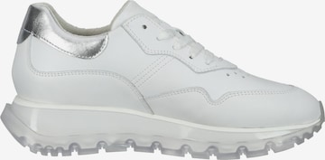 SANSIBAR Sneakers in White