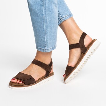 ARA Sandals in Brown
