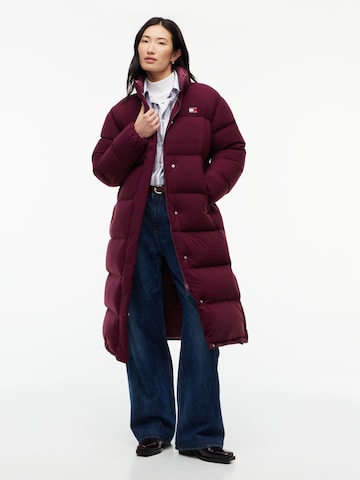 purpurinė Tommy Jeans Žieminis paltas 'Alaska'