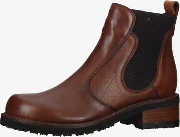 Chelsea Boots Everybody en marron : devant