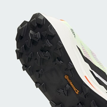 ADIDAS TERREX Lage schoen 'Agravic TT' in Wit