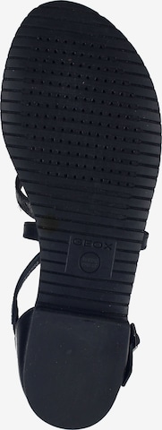 GEOX Sandalen met riem in Zwart