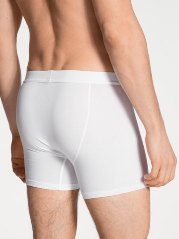 CALIDA Boxershorts 'Cotton Code' in Wit