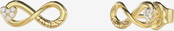 GUESS Korvakoru 'INFINITY' värissä kulta: etupuoli
