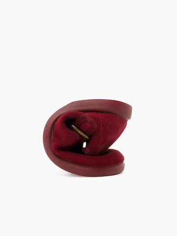 Pisamonas Lauflernschuh‌ in Rot