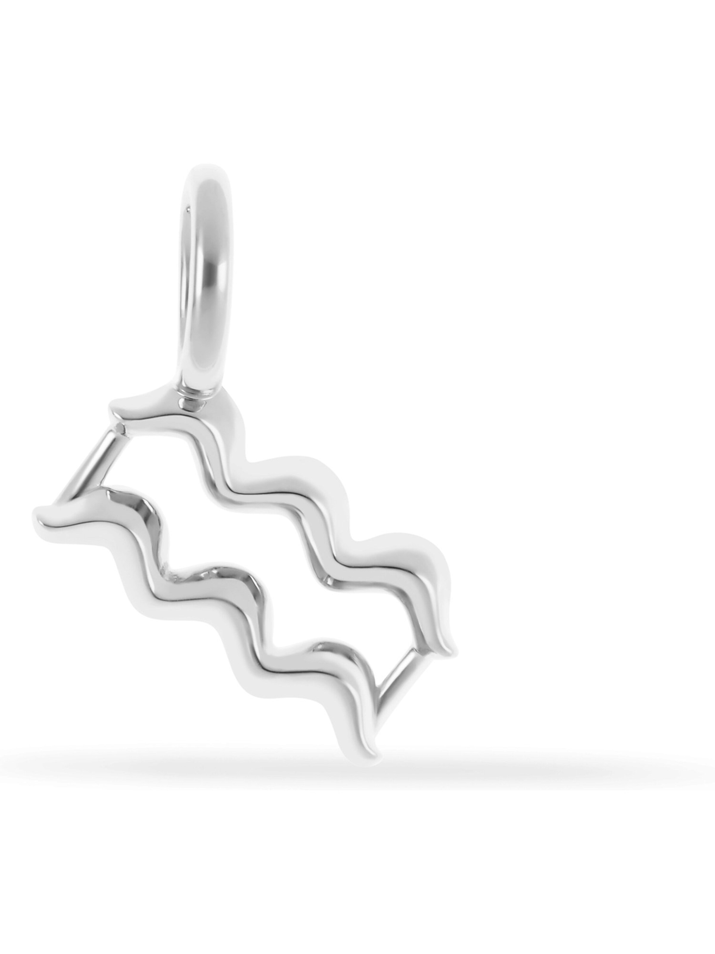 FAVS Anhänger in Silber: Vorderseite