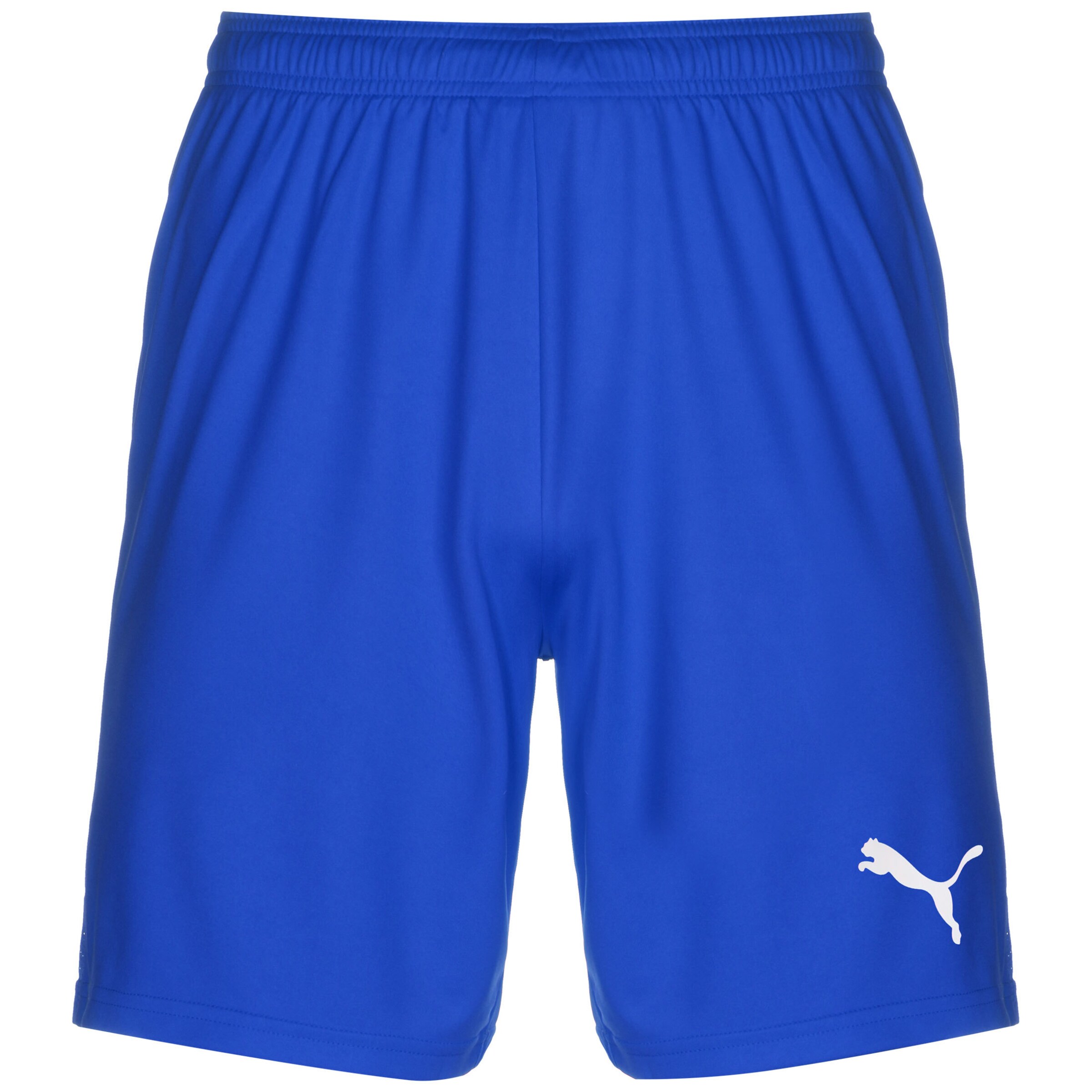 PUMA Loosefit Hose 'TeamGoal 23' in Blau: Vorderseite