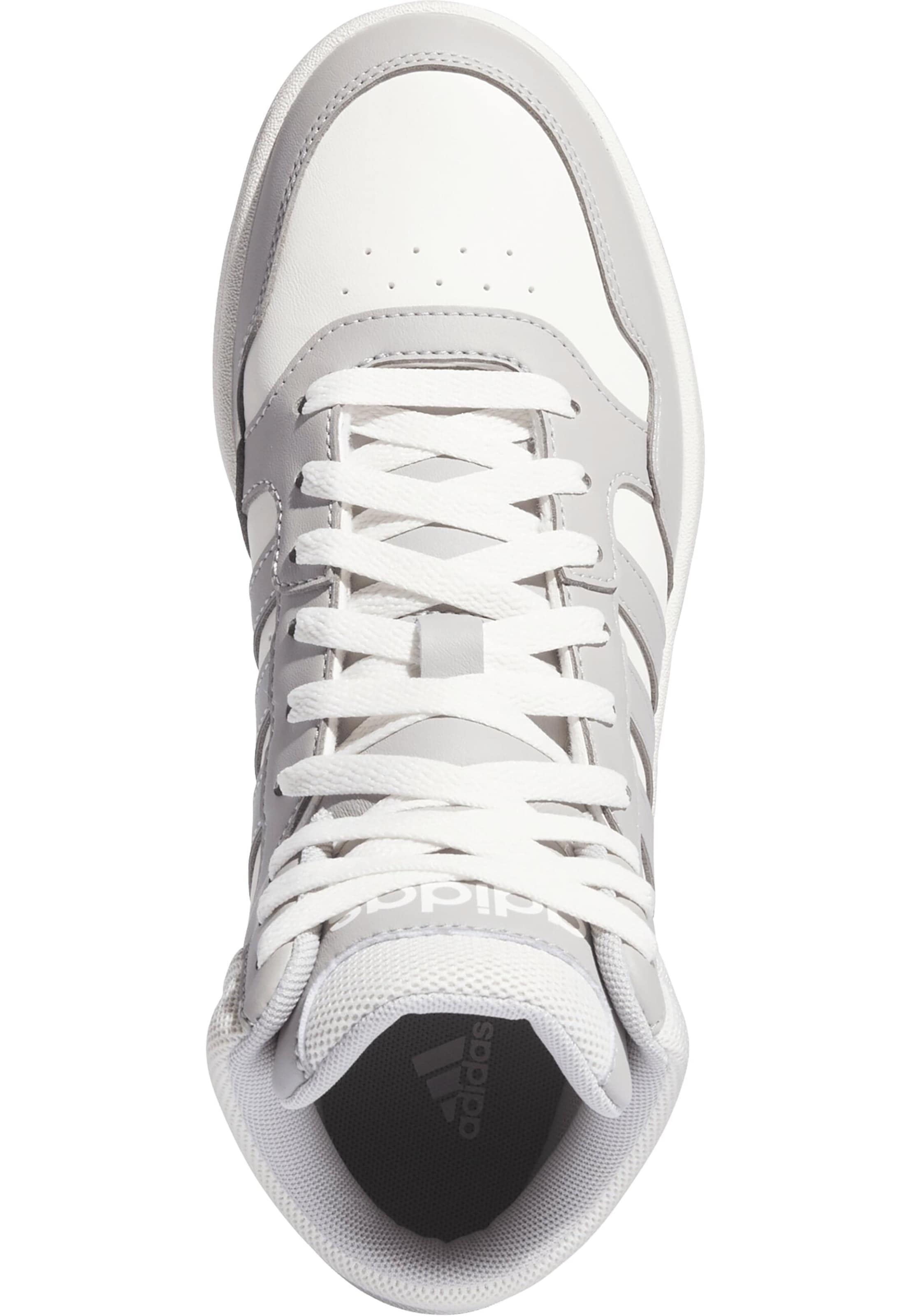Sneaker alta 'Hoops 3.0' di ADIDAS ORIGINALS in grigio