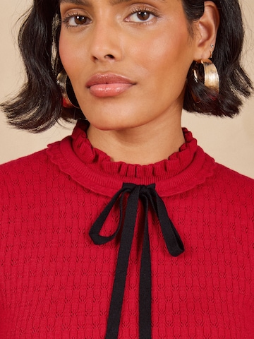 Pull-over love & roses en rouge