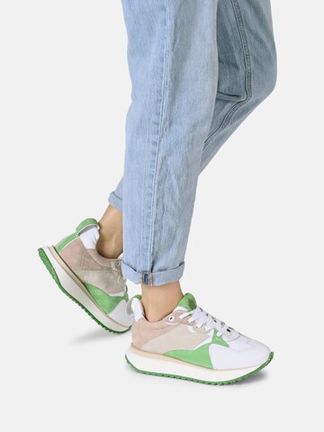 Apple of Eden Sneakers laag 'LOLA' in Gemengde kleuren: voorkant